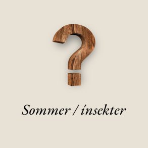 Insekter og Sommereksem