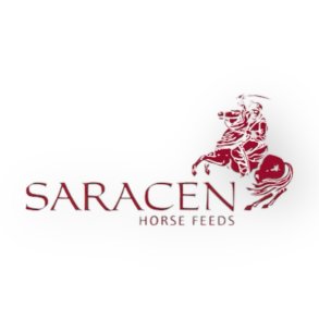Saracen