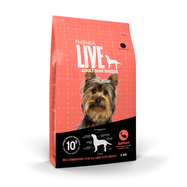 LIVE  Mini Breeds Adult Laks