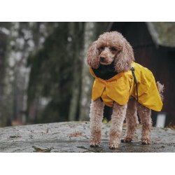 Paikka Visibility regnfrakke, gul