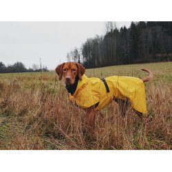 Paikka Visibility regnfrakke, gul