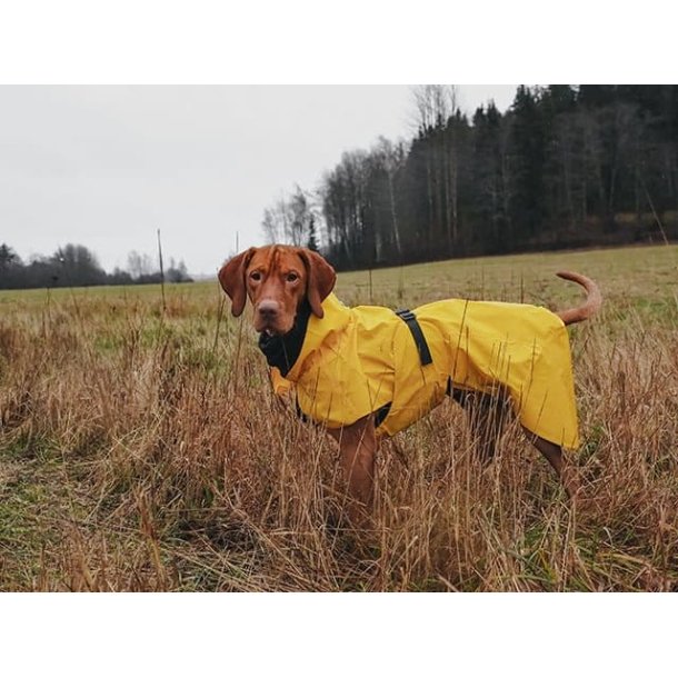 Paikka Visibility regnfrakke, gul
