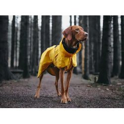 Paikka Visibility regnfrakke, gul