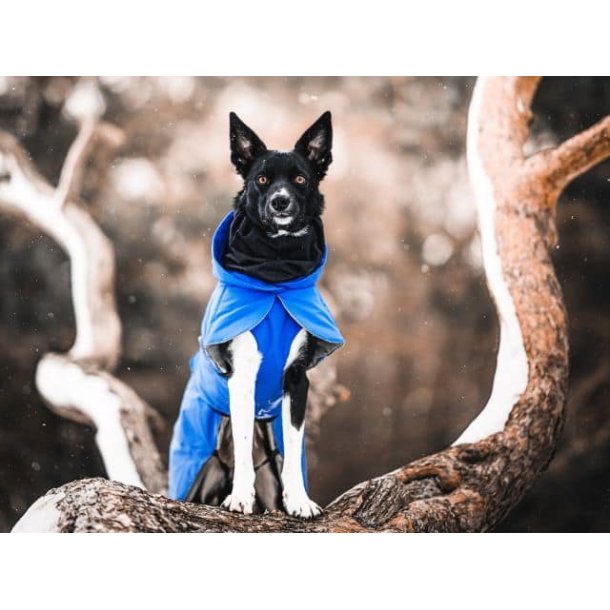 Paikka Recovery vinterfrakke, indigo