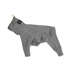 Paikka Recovery overall