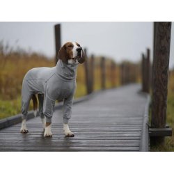 Paikka Recovery overall