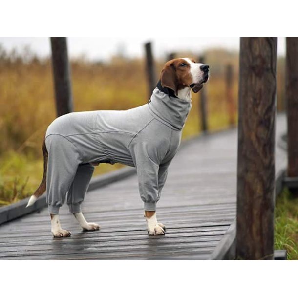 Paikka Recovery overall