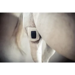 Rheva Extra Strong Combo S�r Beskyttelse