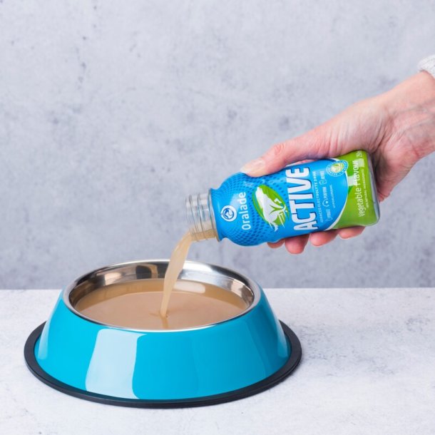 Oralade Active Veggie 250ml