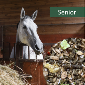 HorsePro Senior