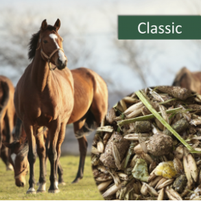 HorsePro Classic