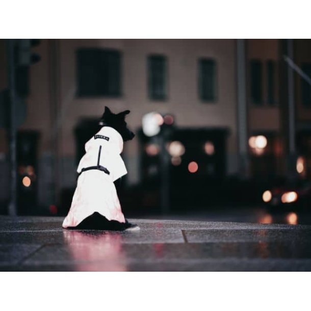 Paikka Visibility regnfrakke, pink