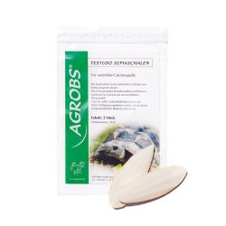 Testudo Sepiaschalen