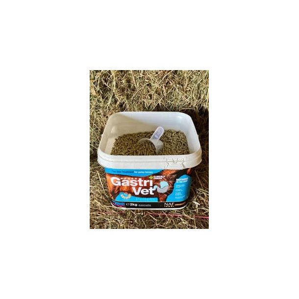 NAF GastriVet Piller