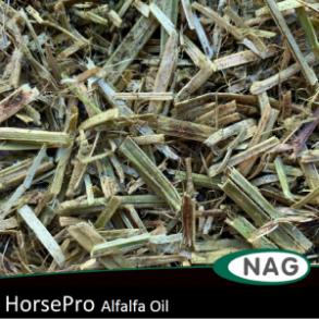 HorsePro Alfalfa Oil