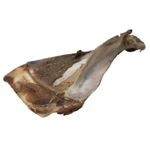 Tikki Hjorte Skulderblad