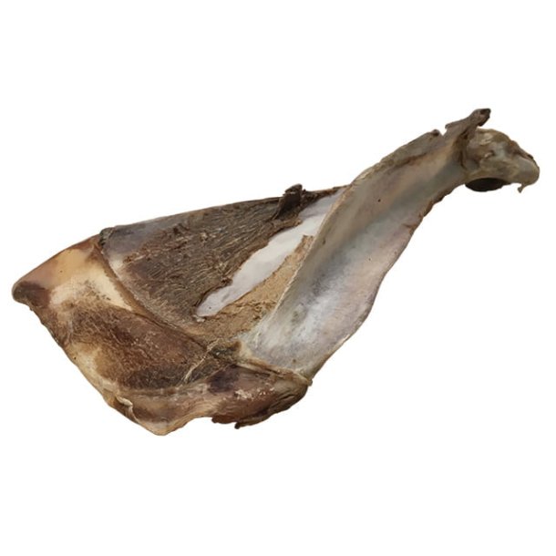 Tikki Hjorte Skulderblad