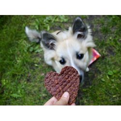 Woolf Hearts of Duck or Chicken with Rice