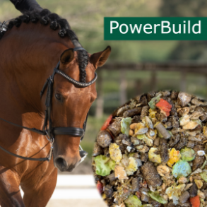 HorsePro PowerBuild
