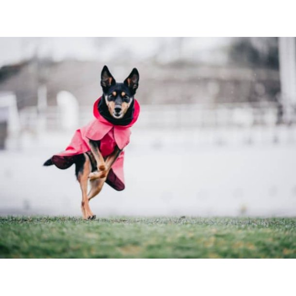 Paikka Visibility regnfrakke, pink