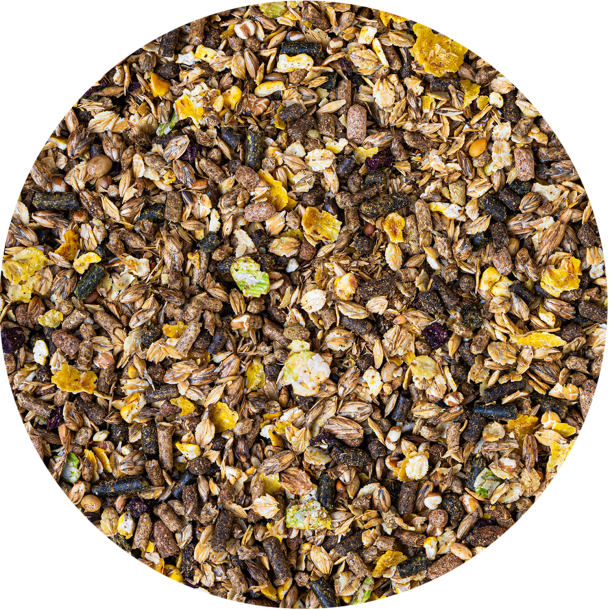 Aveve Energy Control