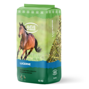 Aveve Lucerne