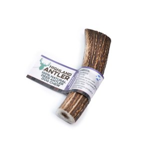 Antler medium - hjortegevir 76-150 gr