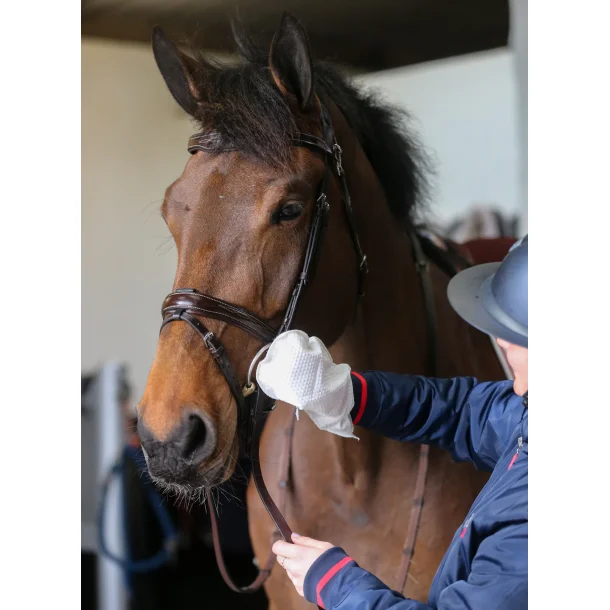 CDM Belvoir Tack Cleaning Mitt