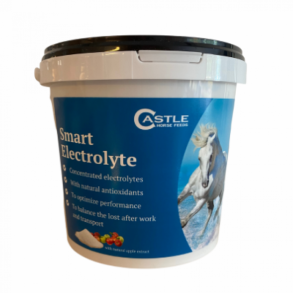 Castle Smart Electrolyte - Elektrolytter med �blesmag