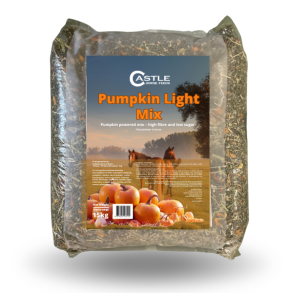 Castle Pumpkin Light Mix