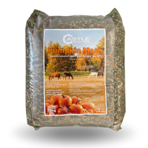 Castle Pumpkin Mash - 100% kornfri og uden tilsat sukker iblandet gr�skar- og �blestykker