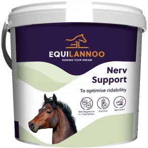 EQL Nerv Support 4 kg