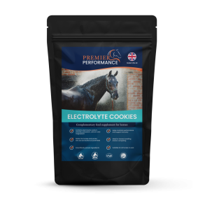 Premier Performance Electrolyte Cookies