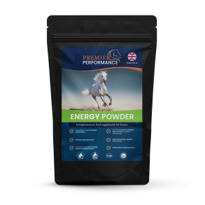Premier Performance Energy Powder