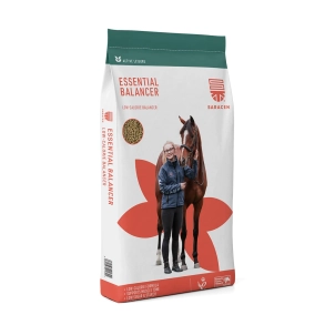 Saracen Essential Balancer