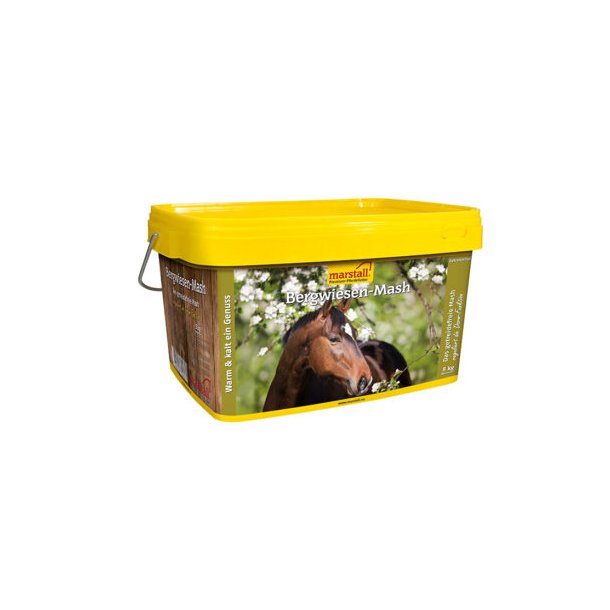 Marstall Bergwiesen Mash