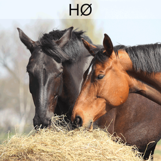 Grovfoderanalyse - h�