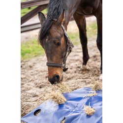 Hay PlayPillow Slowfeeder XL - BLUE til 14 - 16 kg