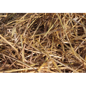 Haylage V�rbyghalm