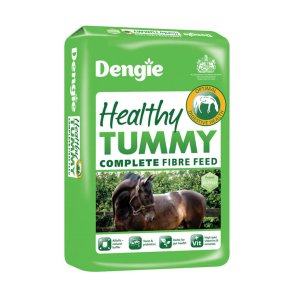 Dengie Healthy Tummy