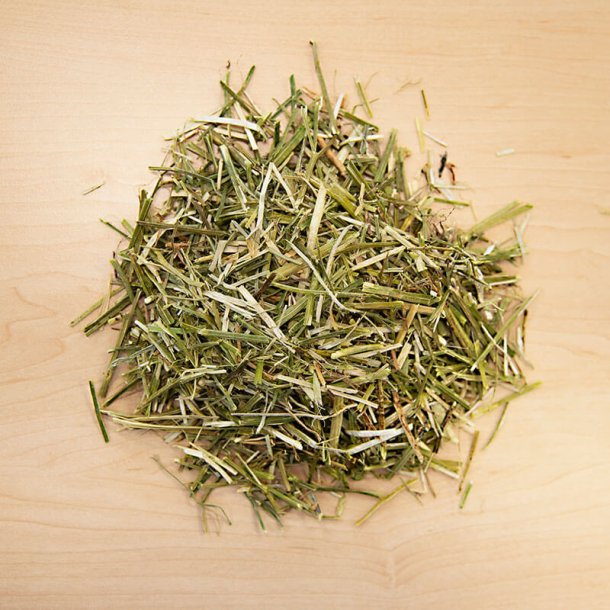 GlyxWiese BIO Luzerne Mix