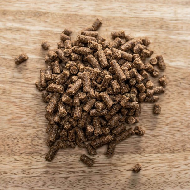 Hesta Plus Magnesium B12