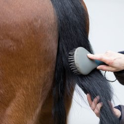 Nathalie Horsecare Easy Mane &amp; Tail Spray