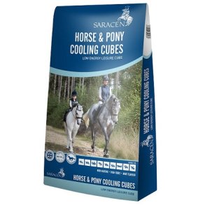Saracen Horse & Pony Cooling Cubes