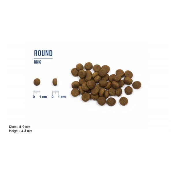 LIVE Mini Breeds Senior/Overweight