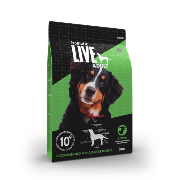 LIVE Adult Lam