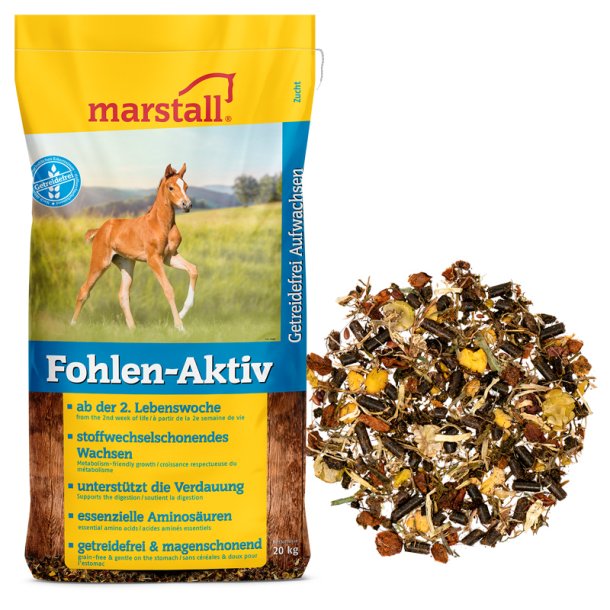 Marstall Fohlen-Aktiv