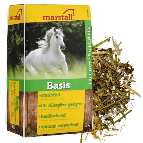 Marstall Basis Lucerne