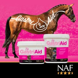 NAF GastriAid