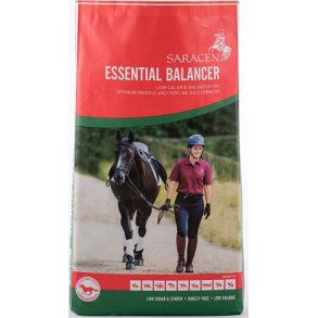 Saracen Essential Balancer
